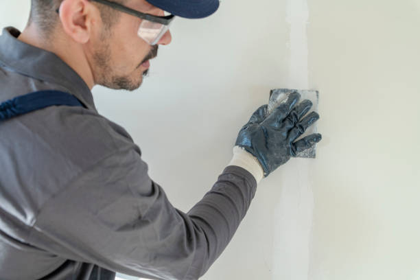 Best Drywall Sanding and Smoothing  in Orland Park, IL